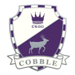 Значок «Cobblestone»